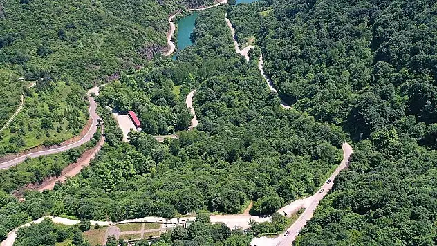 Türkiye'nin orman varlığı 23,4 milyon hektara ulaştı