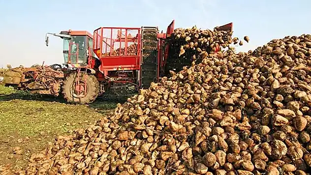 TürkŞeker pancar alım fiyatını açıkladı!