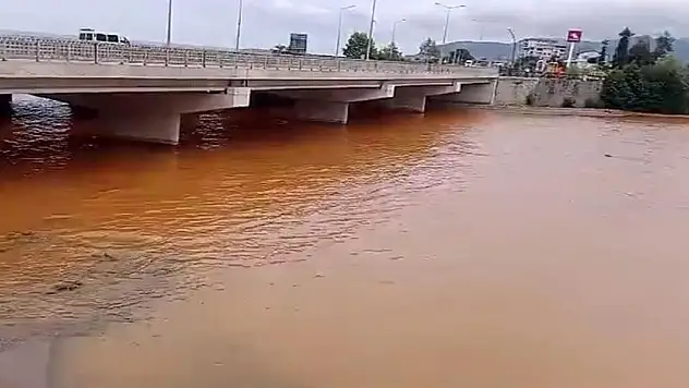 Türkülere konu olan Gelevera Deresi'ndeki balık ölümleri korkutuyor