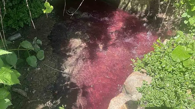 Turşu sulu renkli dereye çiftçiler de uzmanlar da tepkili