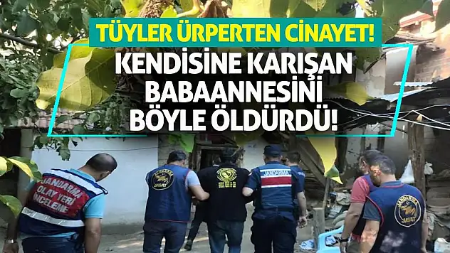 Tüyler Ürperten Cinayet! Kendisine Karışan Babaannesini Böyle Öldürdü!
