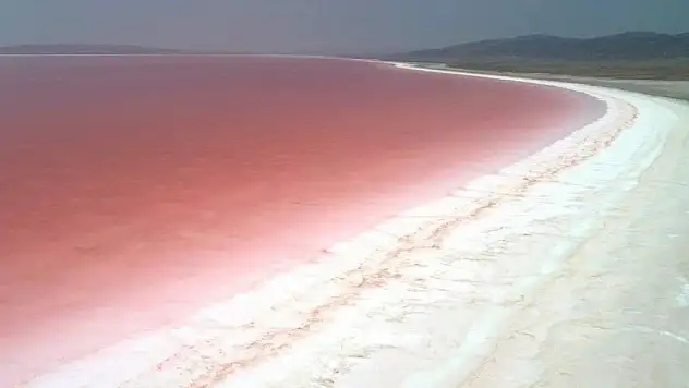 Tuz Gölü pembeleşmeye başladı, turistler akın etti