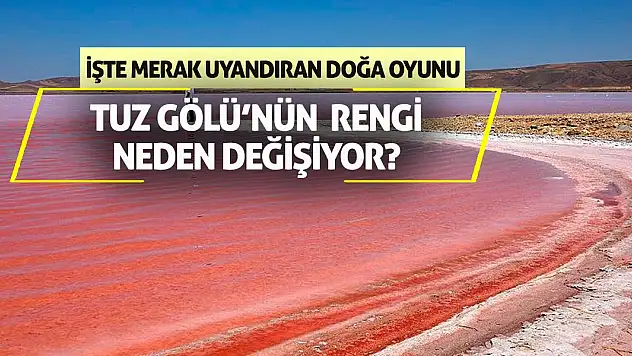 Tuz Gölü'nün Pembe Rengi Neden Değişiyor? İşte Merak Uyandıran Doğa Oyunu