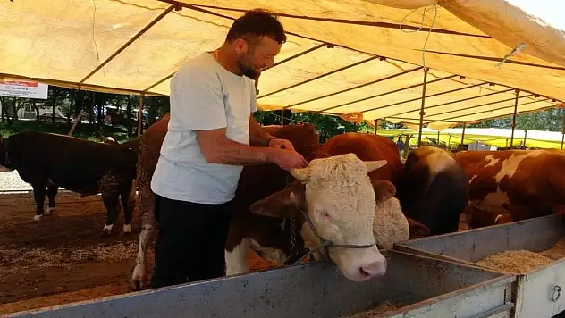 Ülke genelinde tüm hayvan pazarları kapatıldı