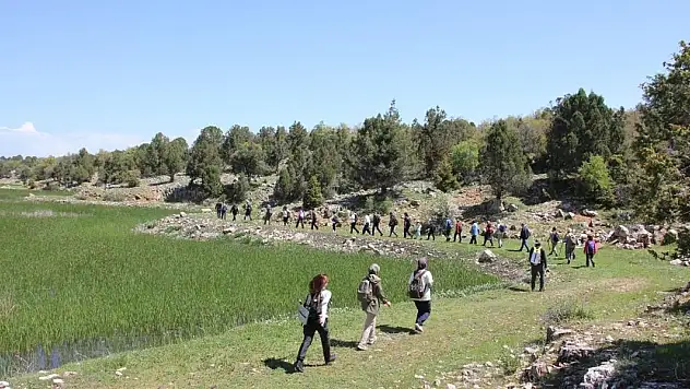 Üniversite öğrencileri, Beyşehir'in botanik hazinelerini keşfetti