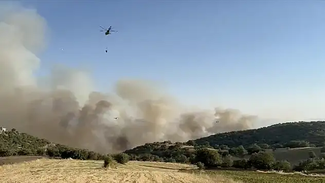 Uşak ile Manisa'daki yangınlara karadan müdahale ediliyor