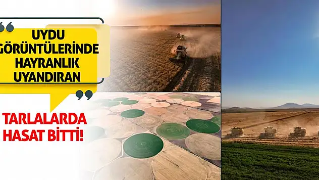 Uydu Görüntülerinde Hayranlık Uyandıran Tarlalarda Hasat Bitti!