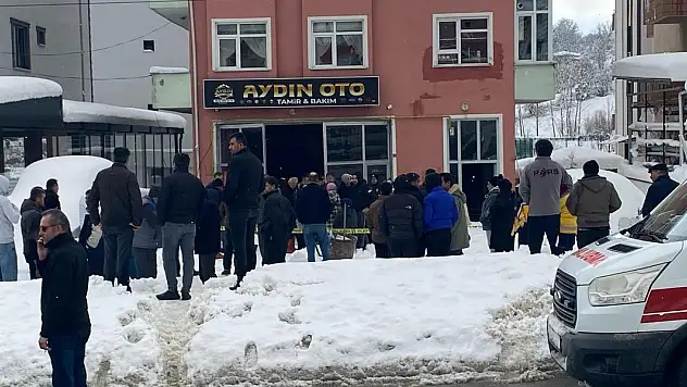 Uyuyakaldığı otomobilde, kedisiyle birlikte egzozdan çıkan gazdan zehirlenip öldü