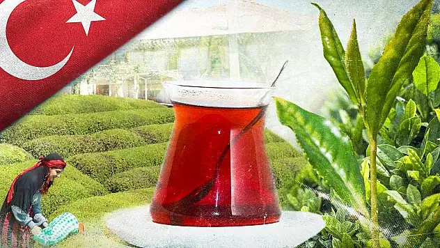 Üzerine kar yağan tek çay olan Türk çayından 6,2 milyon dolar gelir