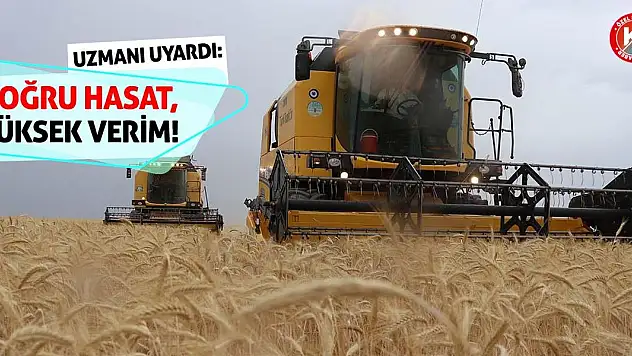 Uzmanı Uyardı: Doğru Hasat Yüksek Verim!