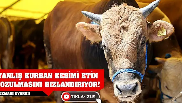 Uzmanı Uyardı! Yanlış Kurban Kesimi Etin Bozulmasını Hızlandırıyor!