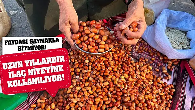 Uzun yıllardır ilaç niyetine kullanılıyor! Faydası saymakla bitmiyor!