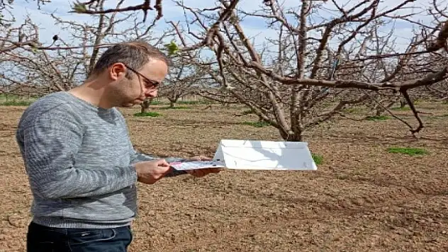 Vakit Daralıyor! Konyalı Üretici Telaşlı... Bakla Zınnı Böceği Bahçede!