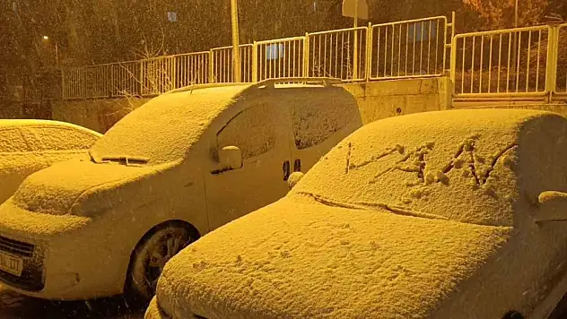 Van'da yoğun kar yağışı etkili oluyor