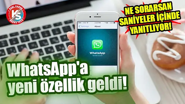 WhatsApp'a yeni özellik geldi! Ne sorarsan saniyeler içinde yanıtlıyor!
