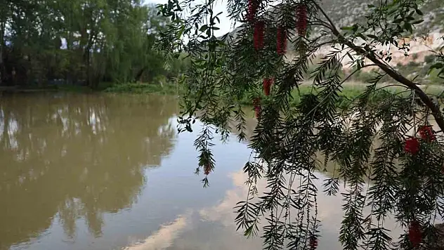 Yağmurlarla birlikte su seviyesi arttı doğa coştu