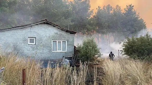 Yangınlardan etkilenen hanelere 10 milyon lira kaynak aktarıldı
