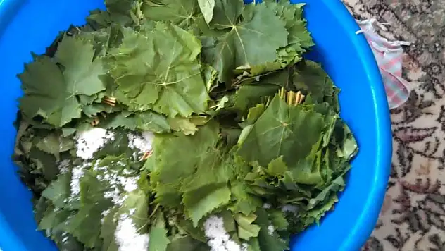 Yaprak kurarken bunu eklemek gerekiyormuş. Senelerce asla bozulmamasını sağlıyor.