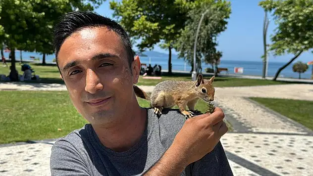 Yaralı bulmuştu! İsim verdiği sincap için seferber oldu!