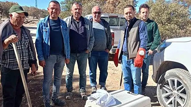 Yaralı halde bulunan hayvanlar koruma altına alındı