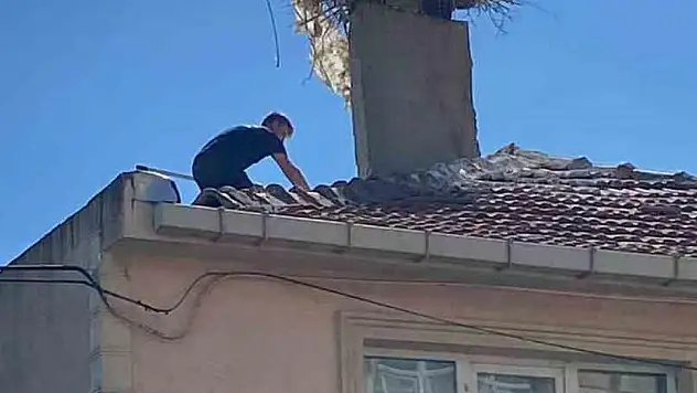 Yaralı leyleği itfaiye kurtardı