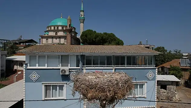 'Yaren' leylek Adem amcaya veda etti