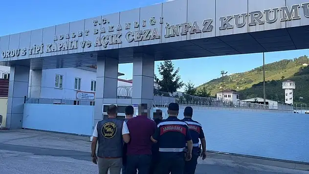 Yasadışı kenevir ekimi yapan 2 kişi tutuklandı