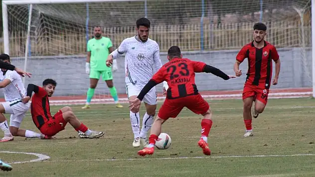 Yavru Kartal hayata döndü