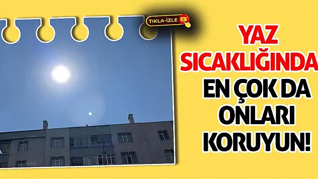 Yaz sıcaklığından en çok da onları koruyun!