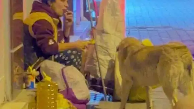 Yemeğini sokak köpeği ile paylaşan kadın yürekleri ısıttı