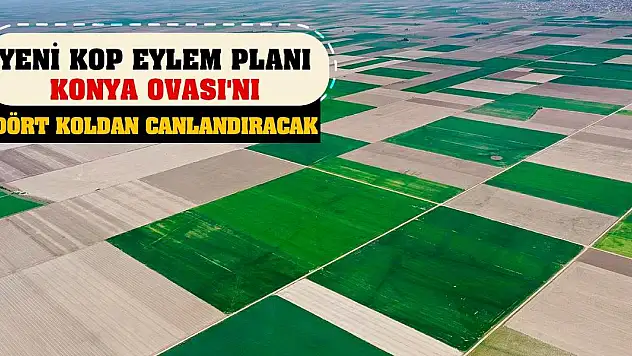 Yeni KOP Eylem Planı Konya Ovası'nı dört koldan canlandıracak