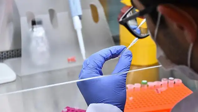 Yerli kuduz aşısında klinik öncesi aşamaya geçildi