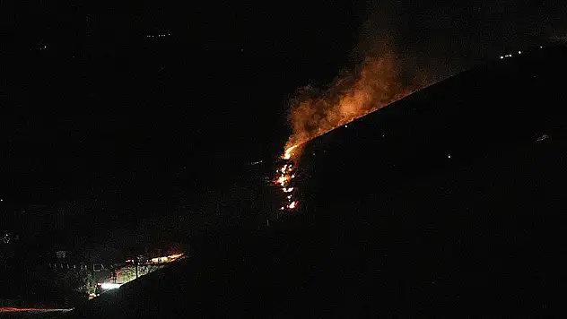 Yeşil Vatan'ı yakmaya çalışan şüpheli tutuklandı!