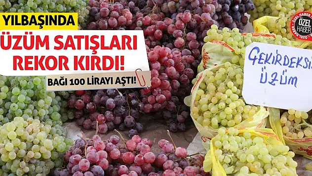 Yılbaşında Üzüm Satışları Rekor Kırdı! Bağı 100 Lirayı Aştı!