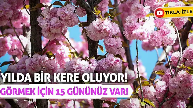 Yılda Bir Kere Oluyor! Görmek İçin 15 Gününüz Var!