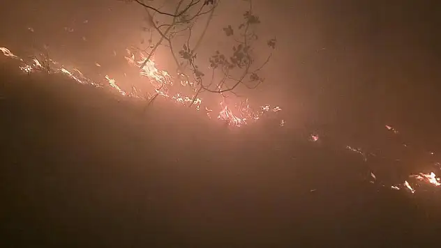 Yıldırım düşmesi sonucu orman yangını çıktı