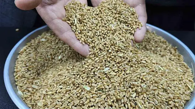 Yılın ilk buğdayı GTB'de işlem gördü