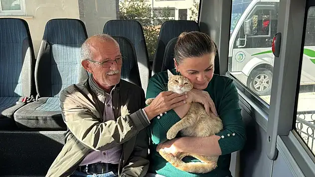 'Yolcu' isimli kedi, tedavi edildiği dolmuş durağının maskotu oldu