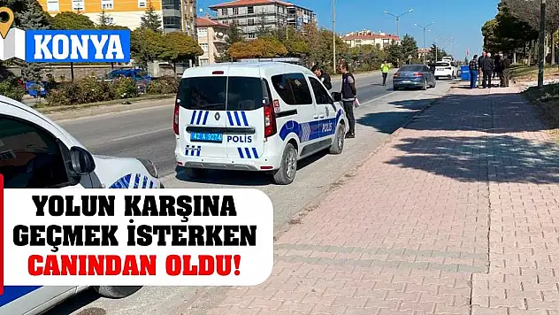 Yolun karşına geçmek isterken canından oldu!