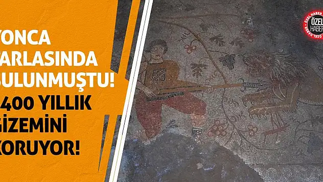 Yonca Tarlasında Bulunmuştu! 1400 Yıllık Gizemini Koruyor!