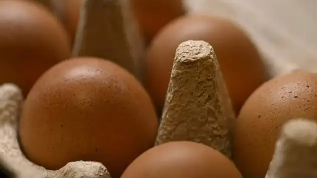 Yumurta fiyatları mayıs çukuru'na yuvarlandı
