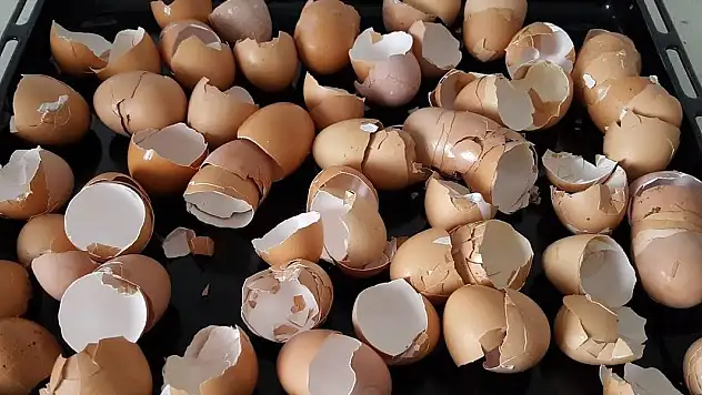 Yumurta kabuğu 1 kutu deterjana bede çıktı! Temizlik daha önce bu kadar kolay olmadı