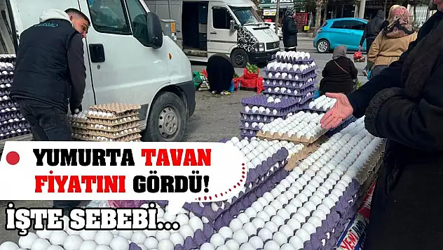 Yumurta tavan fiyatını gördü! İşte sebebi...
