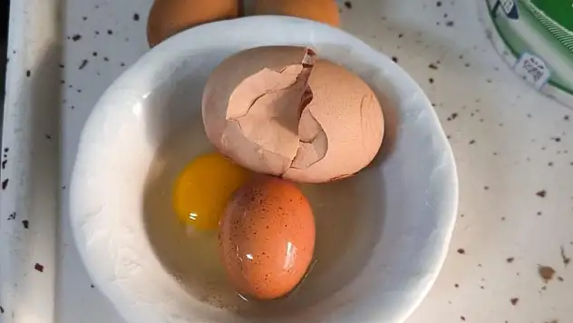Yumurtadan yumurta çıktı