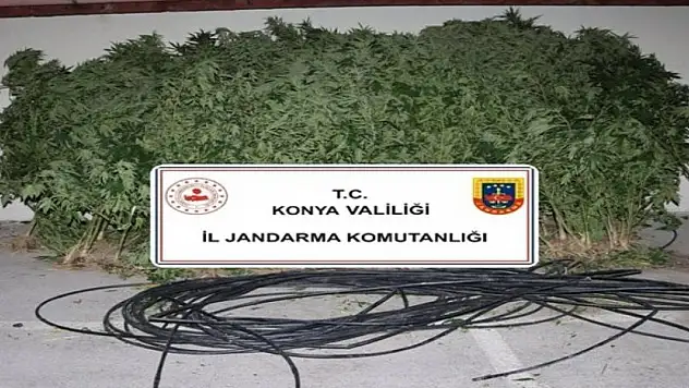 Zehir tacirlerine geçit yok! Konya'da suç makineleri yakalandı!