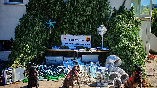 Zehir Üreticilerine Şok Baskın! Kötü Emekleri Boşa Gitti!