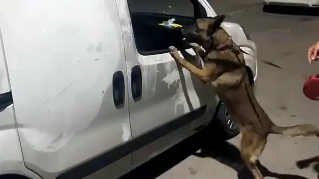 Zehircilerin şok savunması: Kim koydu bilmiyoruz!