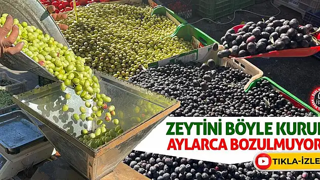 Zeytini Böyle Kurun Aylarca Bozulmuyor!