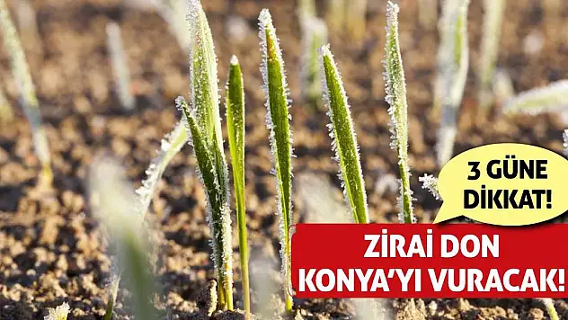 Zirai Don Konya'yı Vuracak! 3 Güne Dikkat!