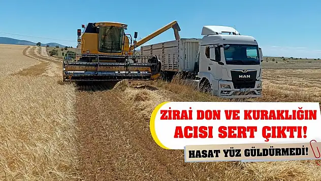 Zirai don ve kuraklığın acısı sert çıktı! Hasat yüz güldürmedi!